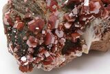 5" Ruby Red Vanadinite Crystals on White Barite - Top Quality - #196354-2